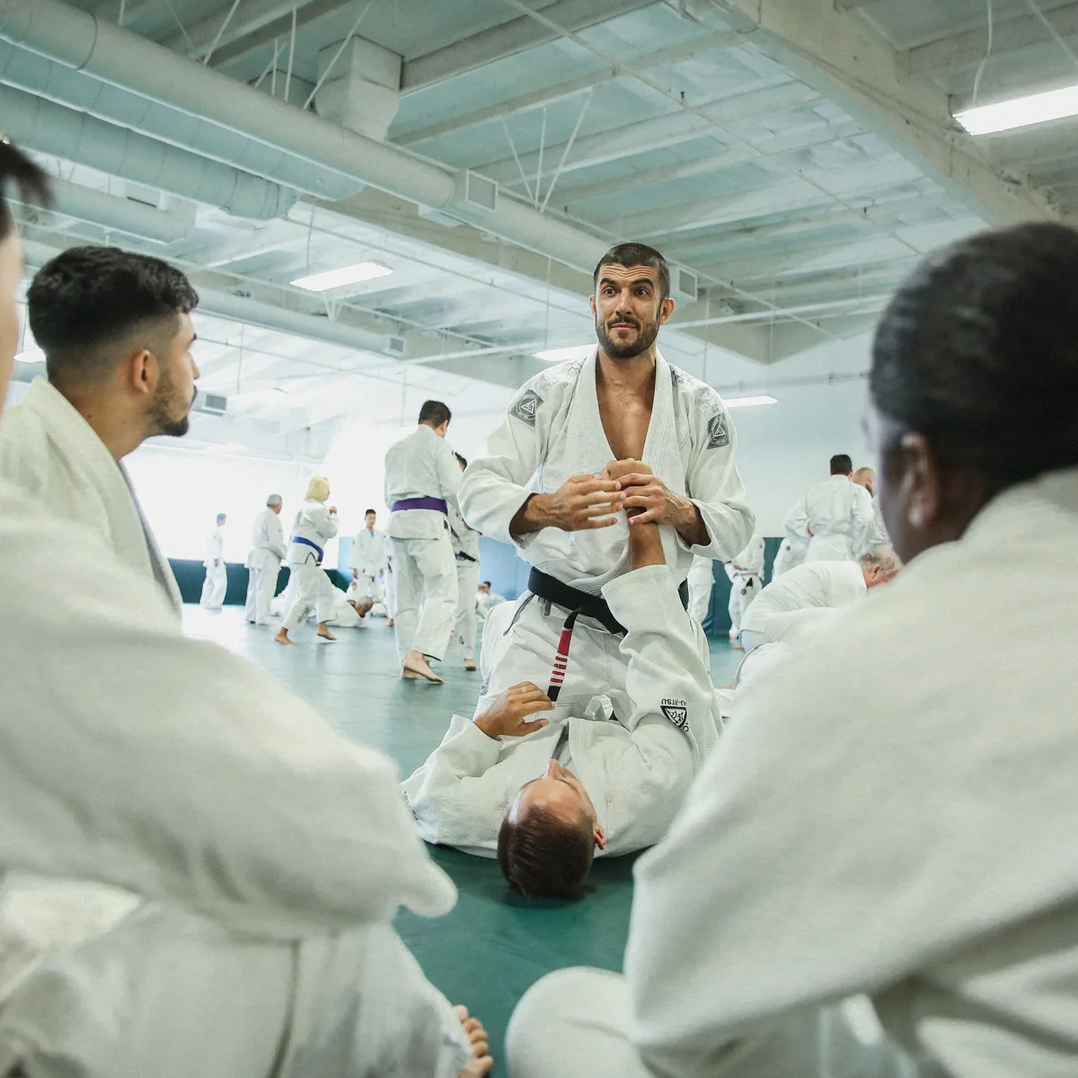 Gracie Jiu-Jitsu